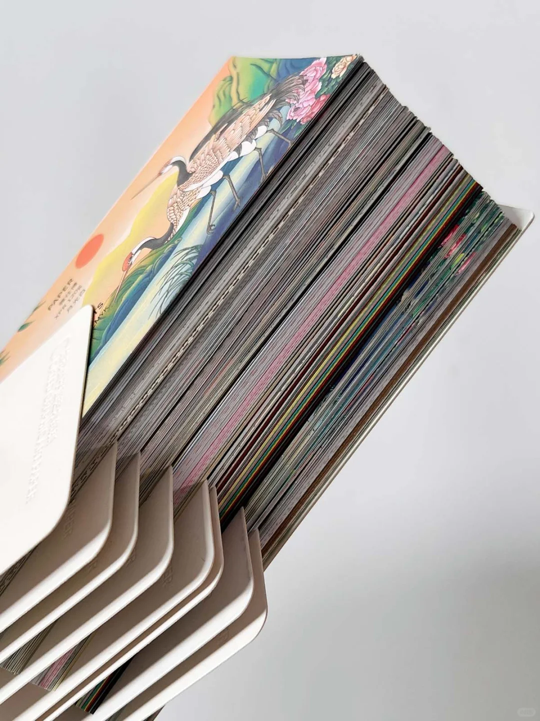 《纸张印刷工艺速查》——创作得力助手