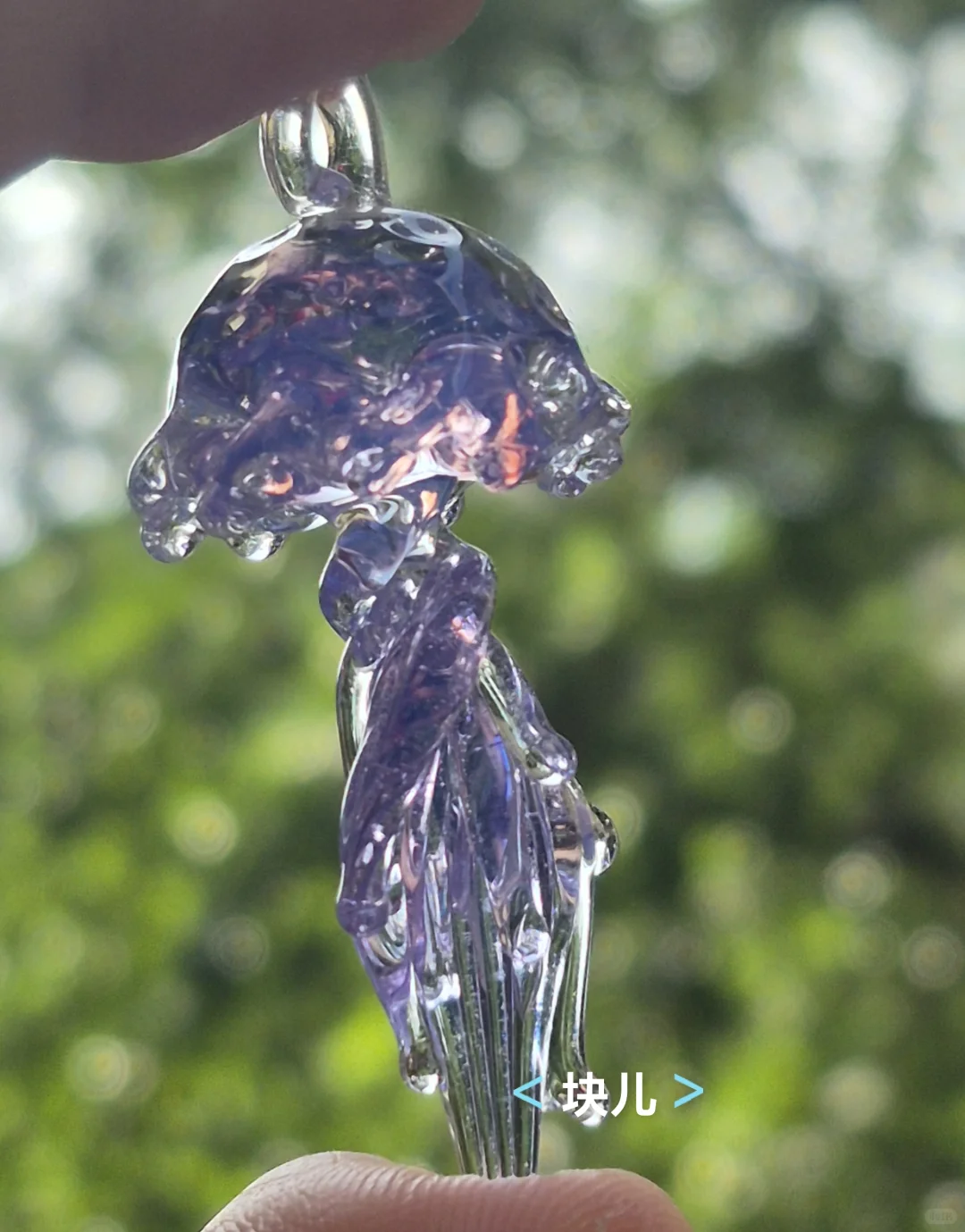 最近在直播间买的一些水母测评