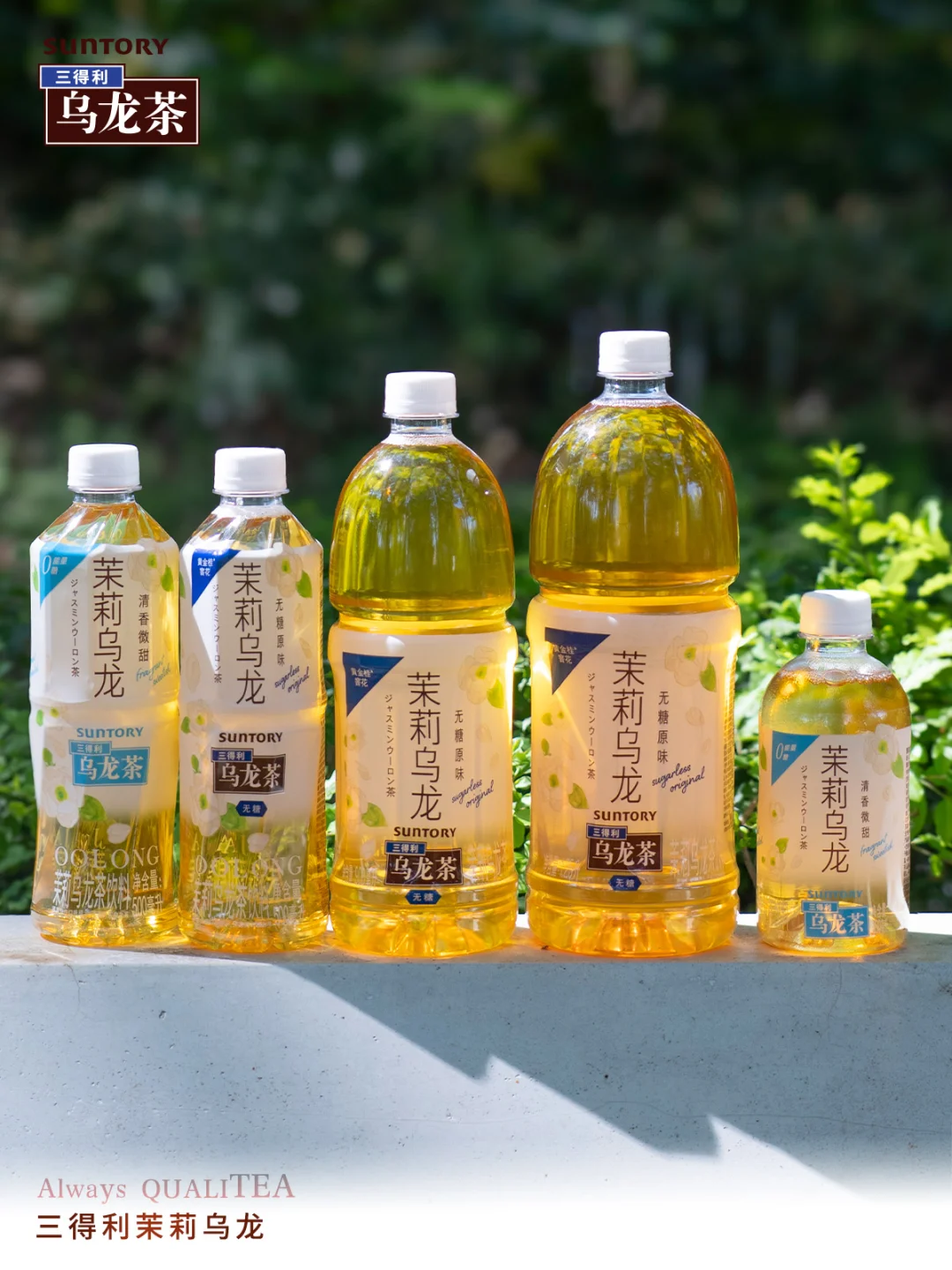 三得利乌龙茶家族｜执此品质 心意好茶
