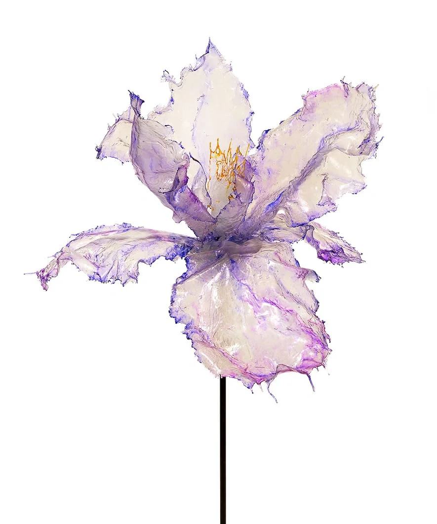 Annalu Boeretto｜树脂玻璃液体雕塑