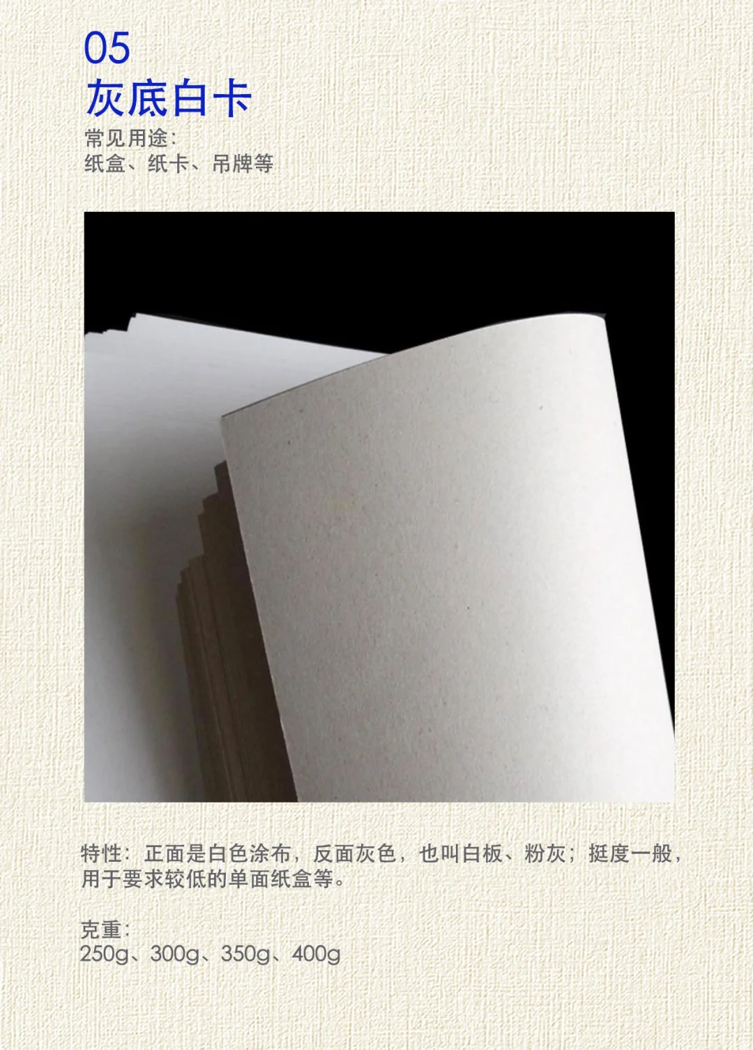 干货！24年纸张企业分享纸张知识设计师必备