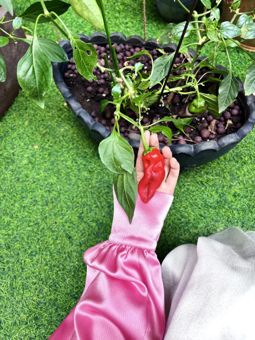 为奢侈品找面料的面料人穿什么