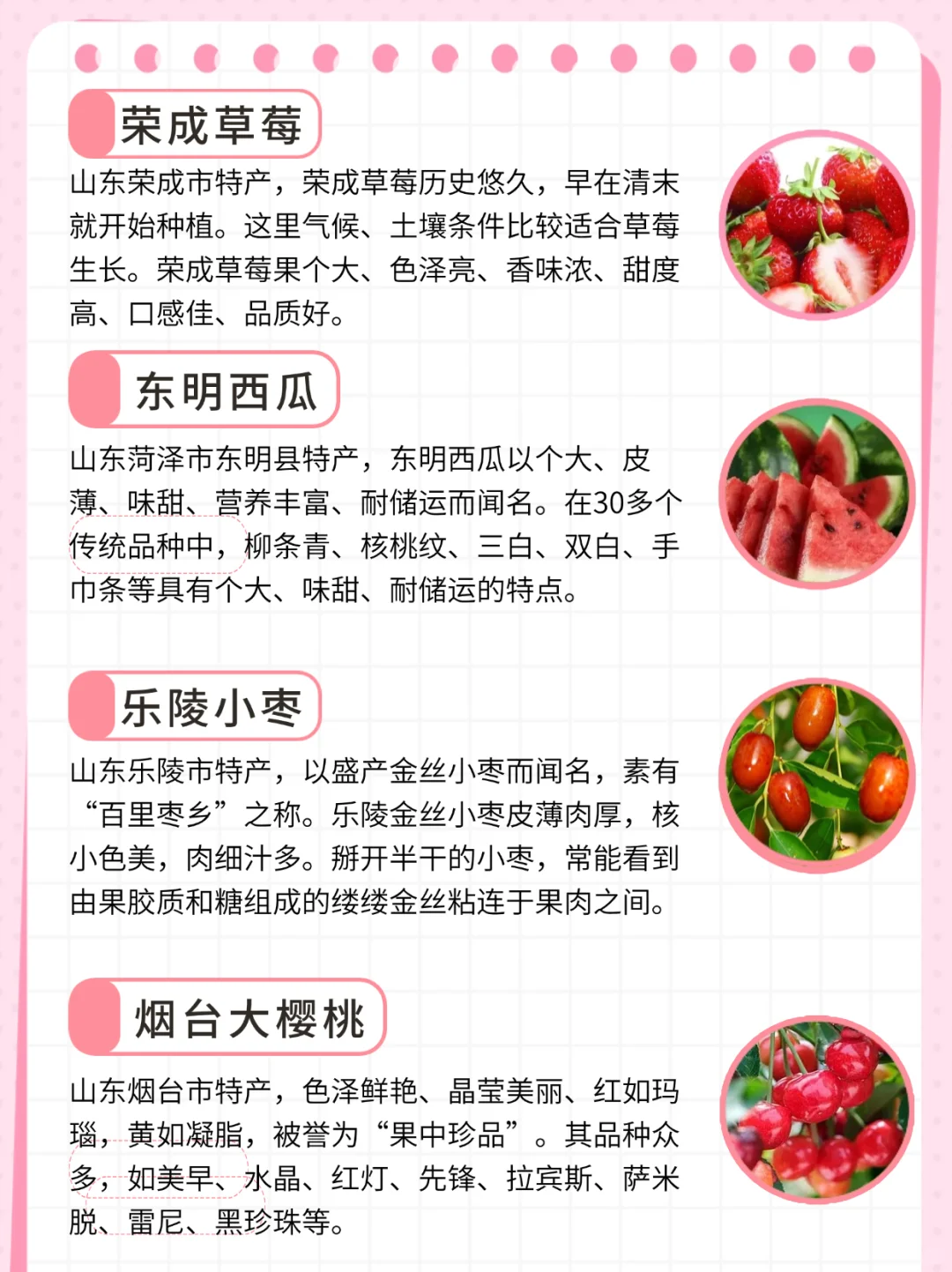 这些好吃的地理标志水果你都吃过吗|山东篇