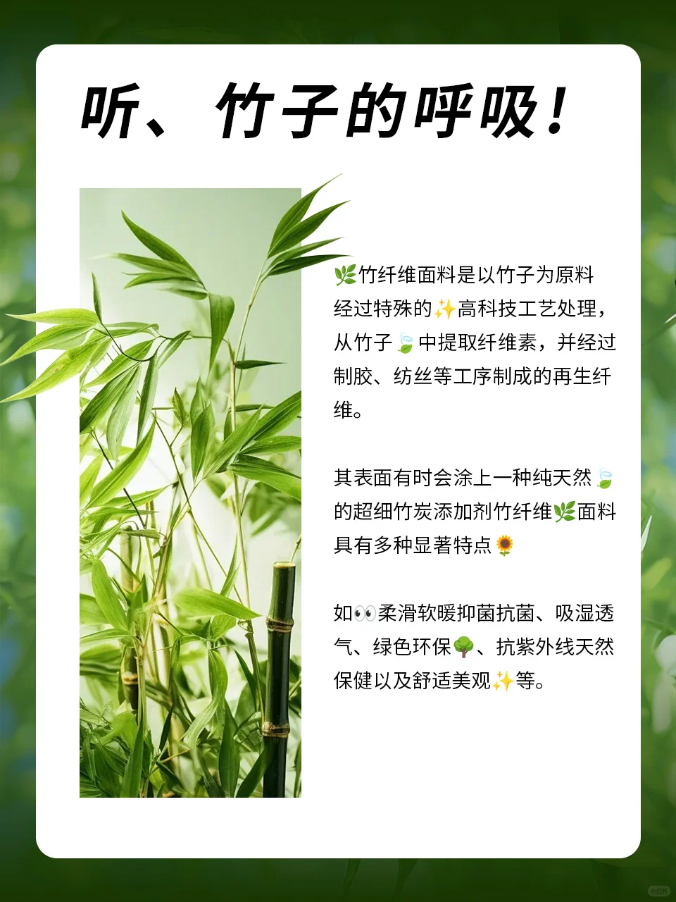 竹纤维知识分享小课堂开课啦！