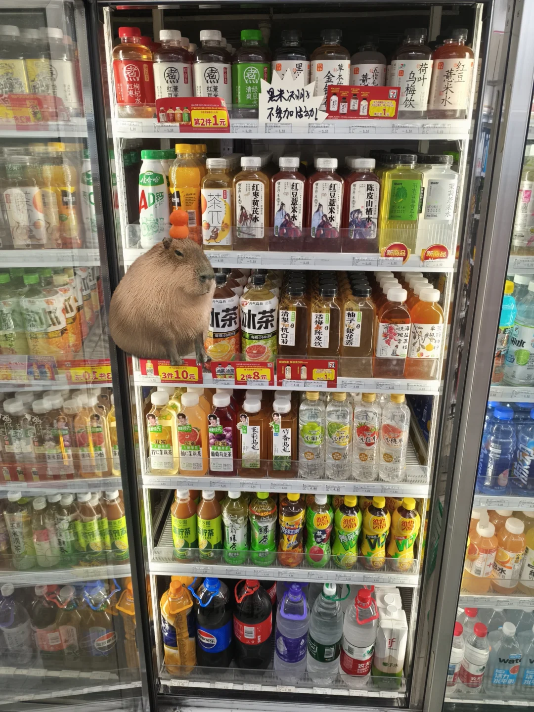 我发现了便利店的隐藏角落！