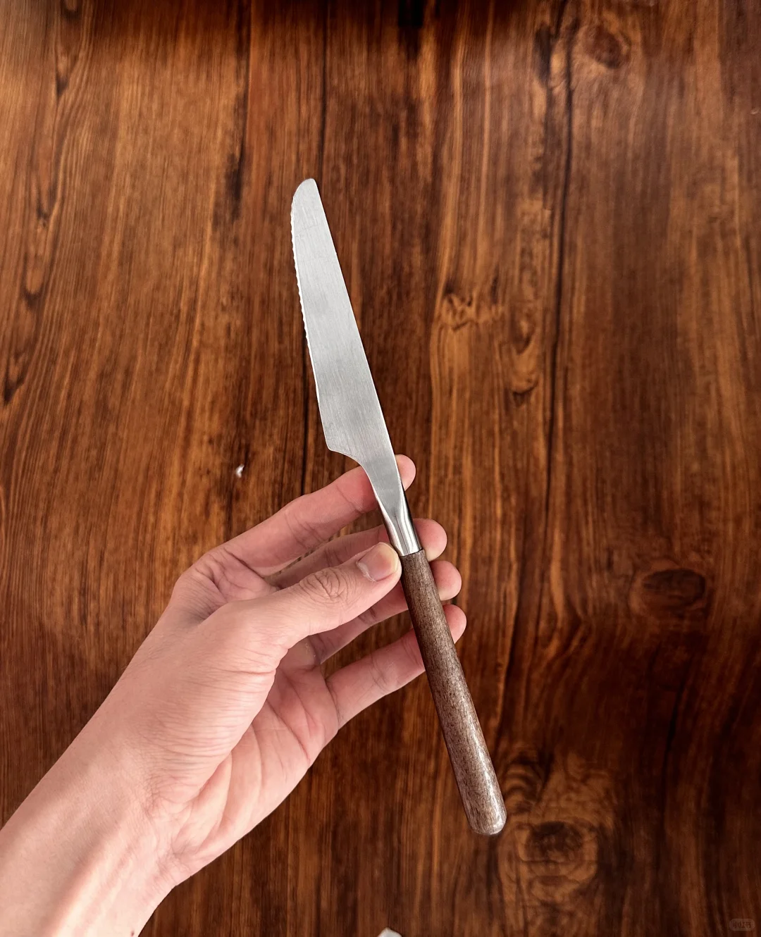 源头工厂、木柄不锈钢餐具刀