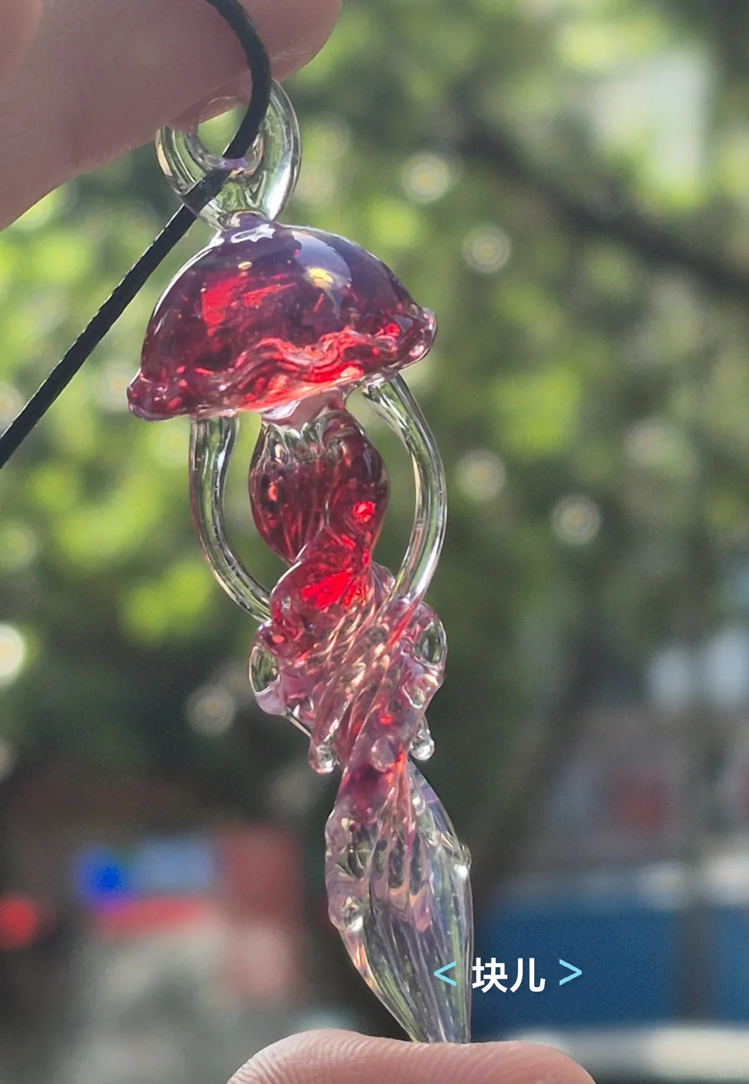 最近在直播间买的一些水母测评