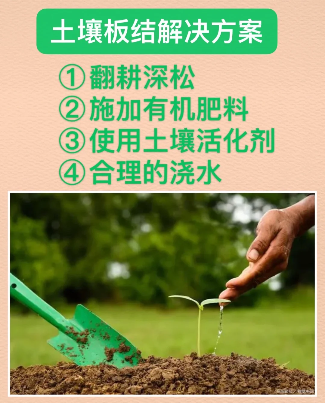 土壤板结怎么办？