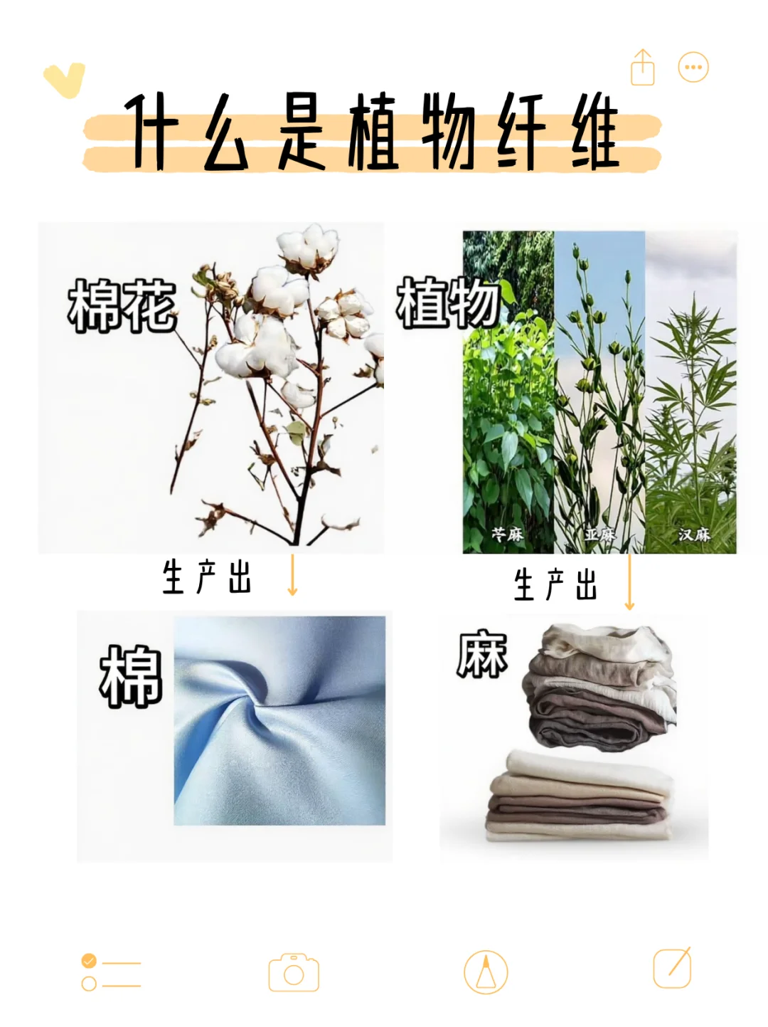 最直白的图文解析聚酯纤维！