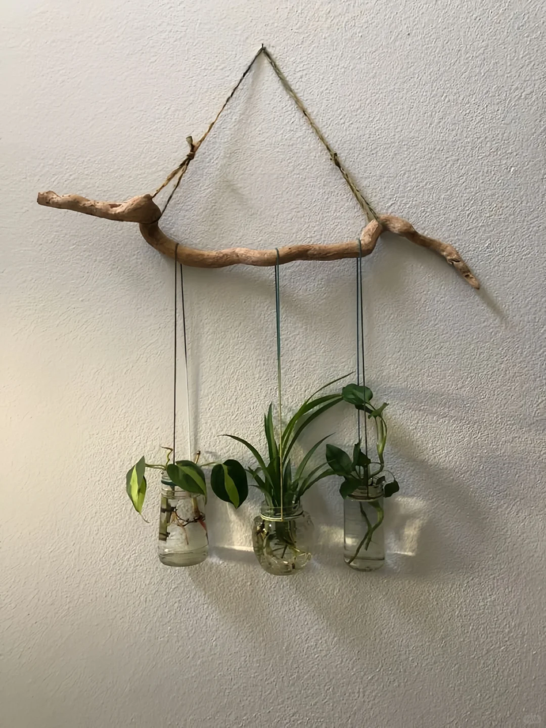 创意手工｜环创｜发现了用树枝DIY的美～