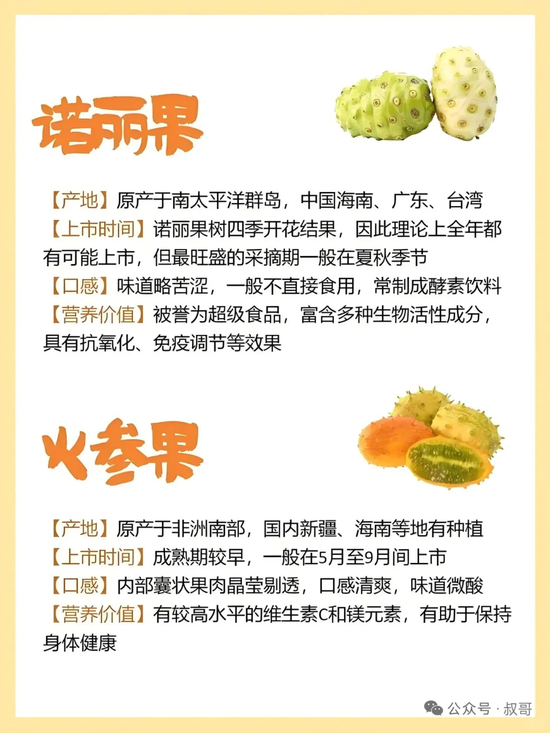 存在感不强的小众水果介绍~~