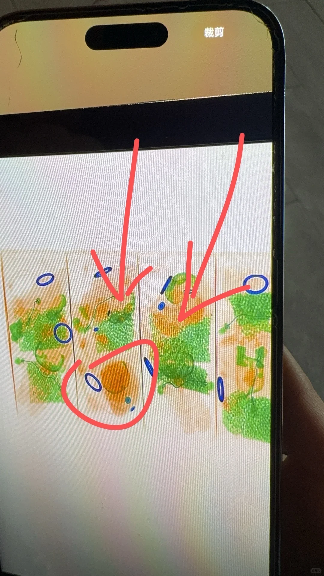泡泡玛特万圣节新品搪胶安检攻略！