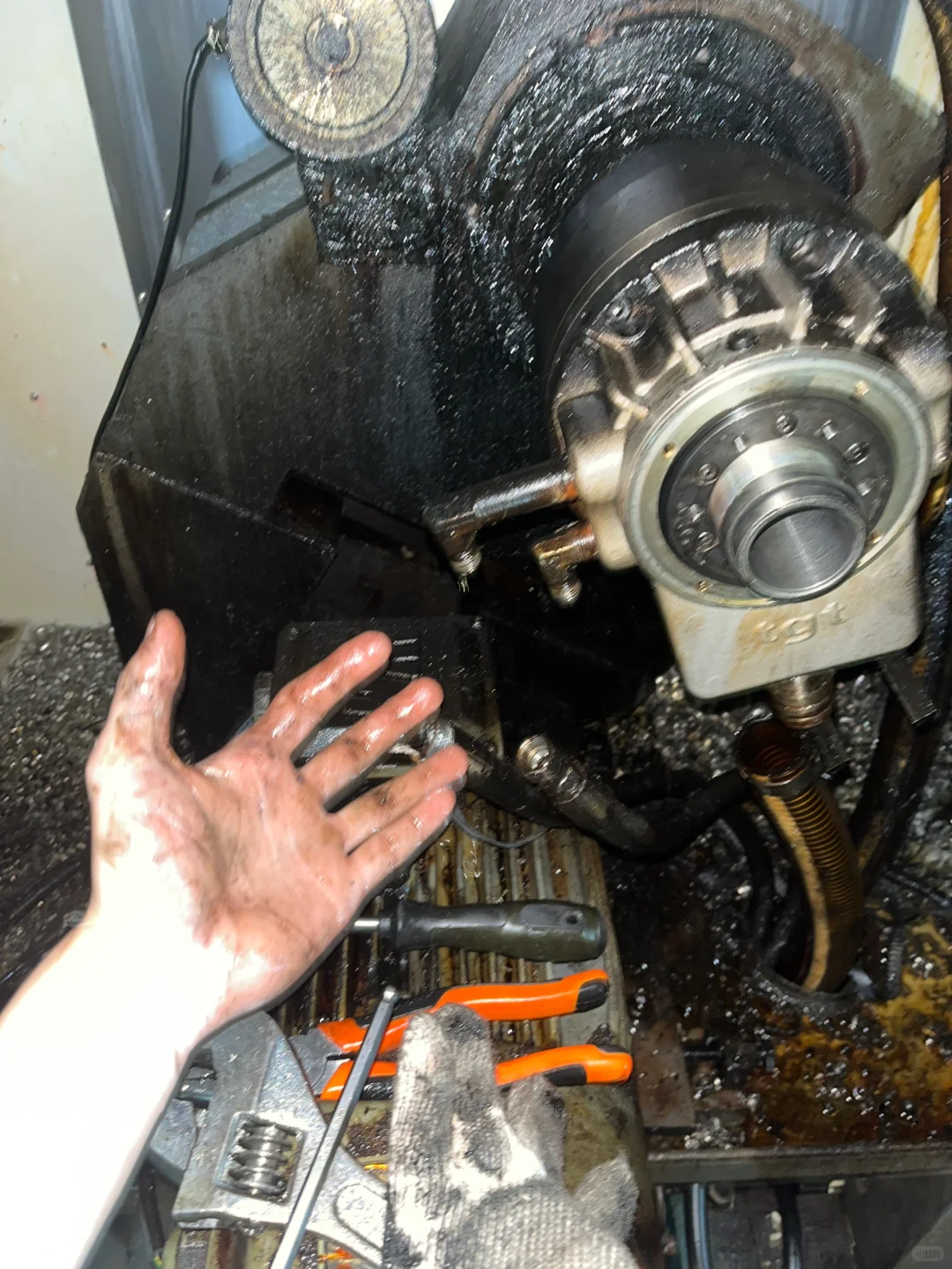 每天的状态就是修