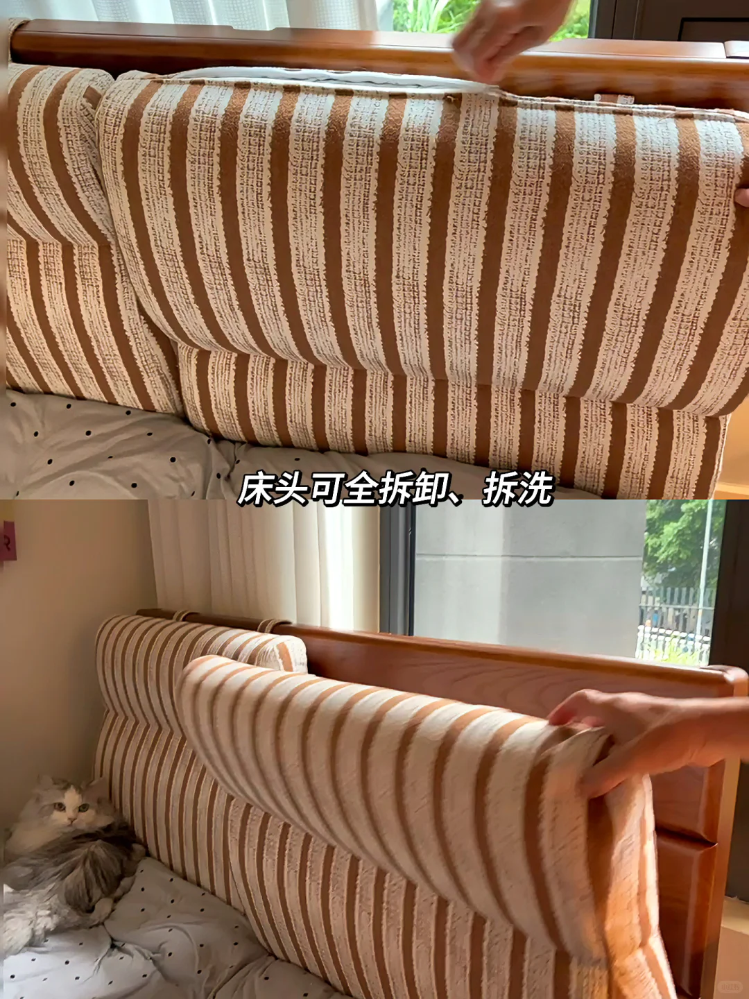 7平米小卧室，自用3个月超薄实木床没翻车✌️