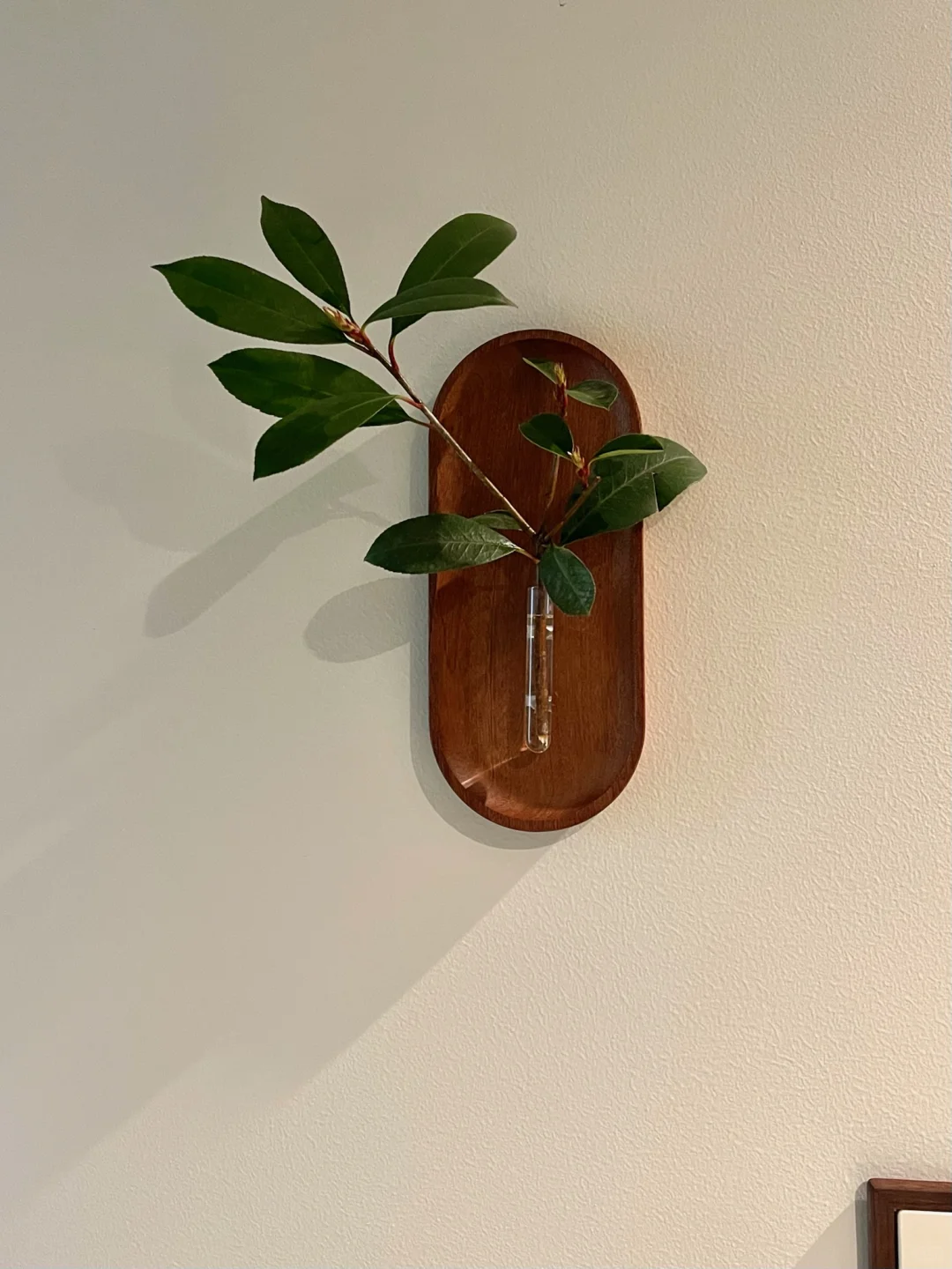 抄作业成功｜6块?的快乐