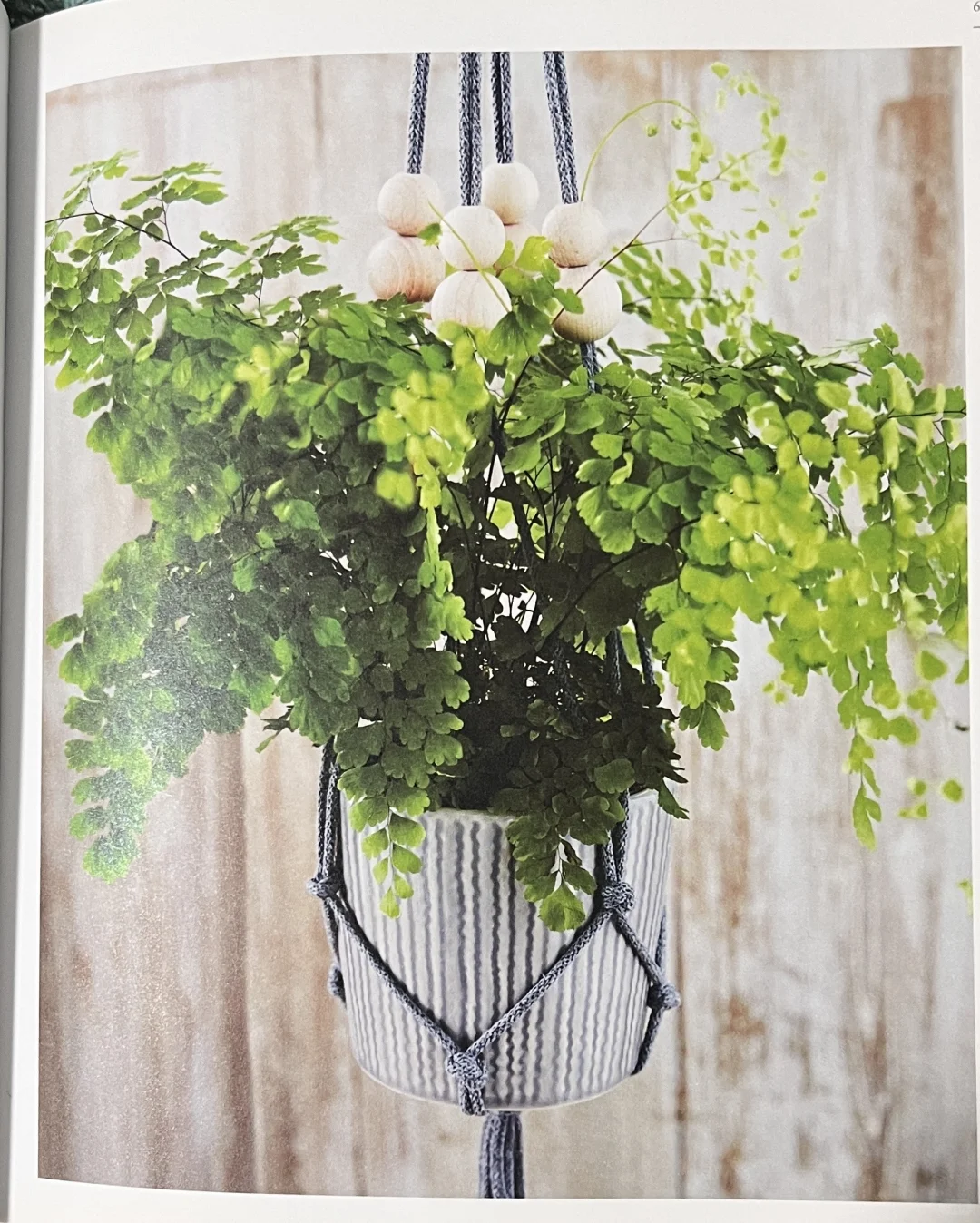 麻绳+盆器,几十块搞定ins风大白墙?附清单