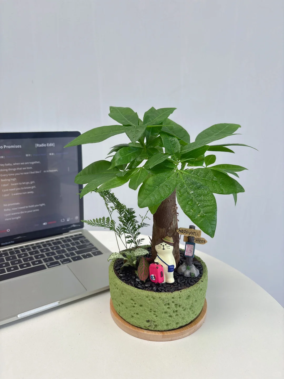 因为这个工位绿植?我不想下班了