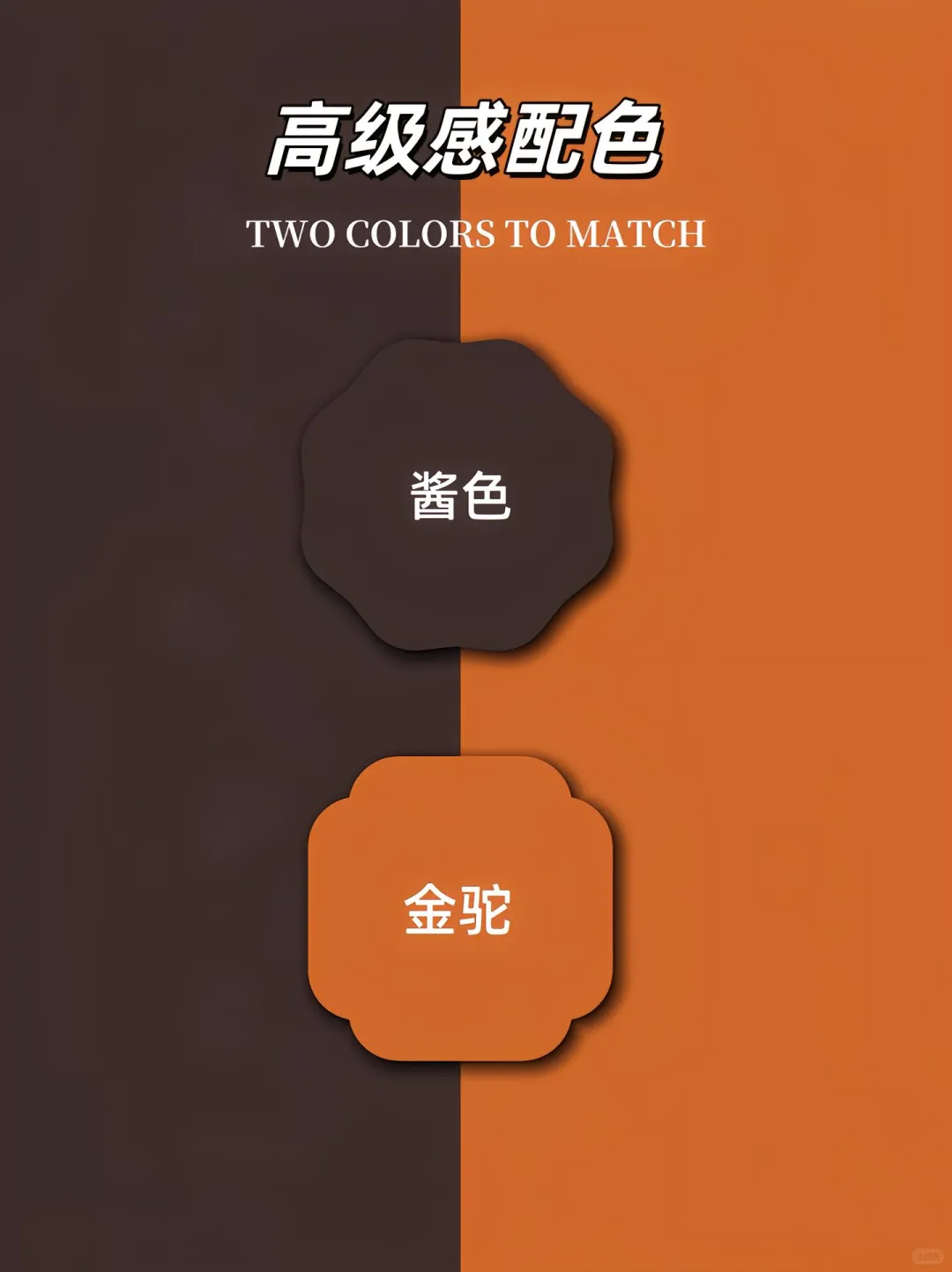 色彩美学|高级感配色～