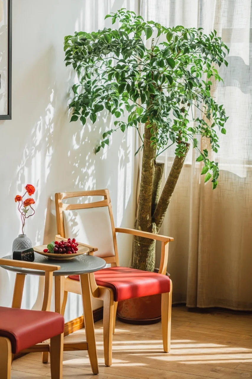 谁说老人不能坐好看舒服的椅子?