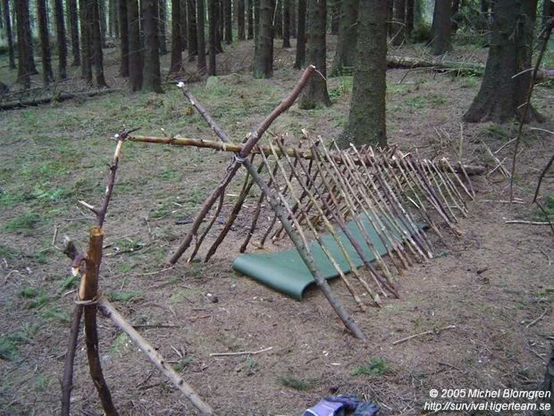 野外生存庇护所