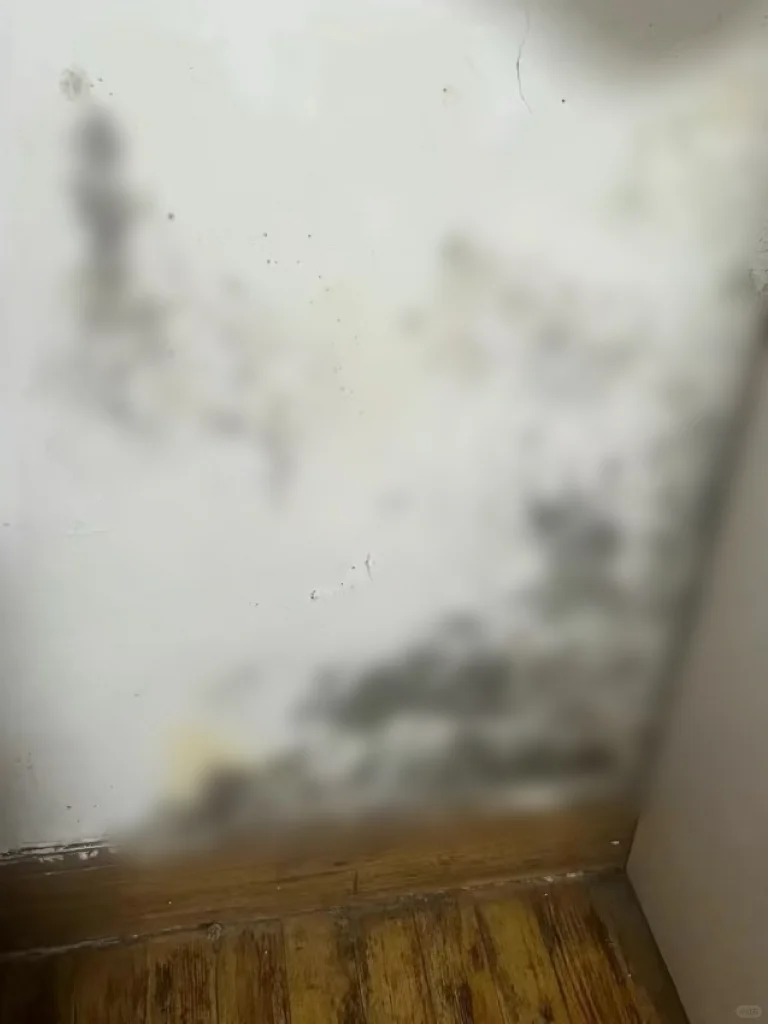 墙面问题总结之墙面发霉处理方法