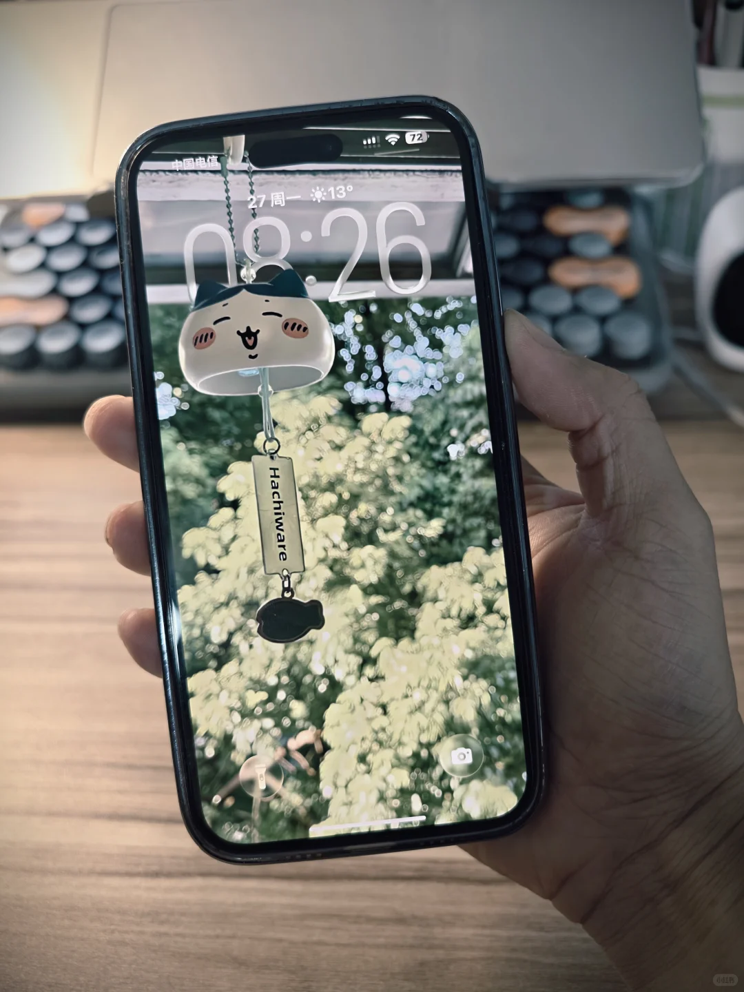 我的美丽小废物们