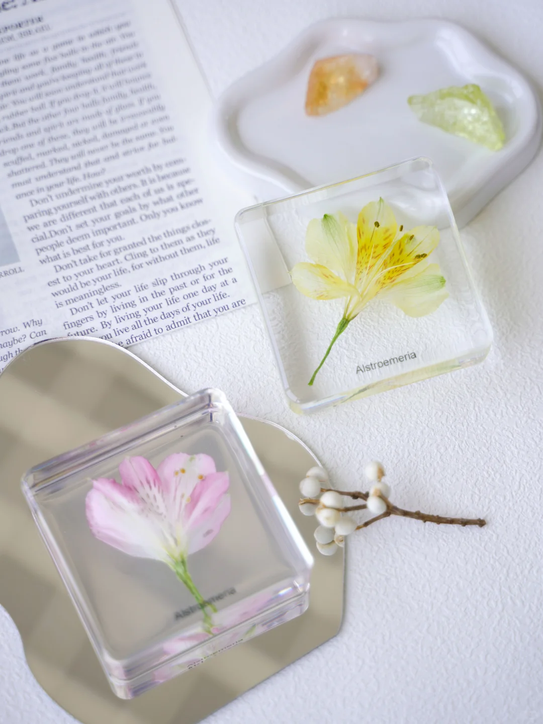 ✨超详细！水仙百合树脂标本制作记录