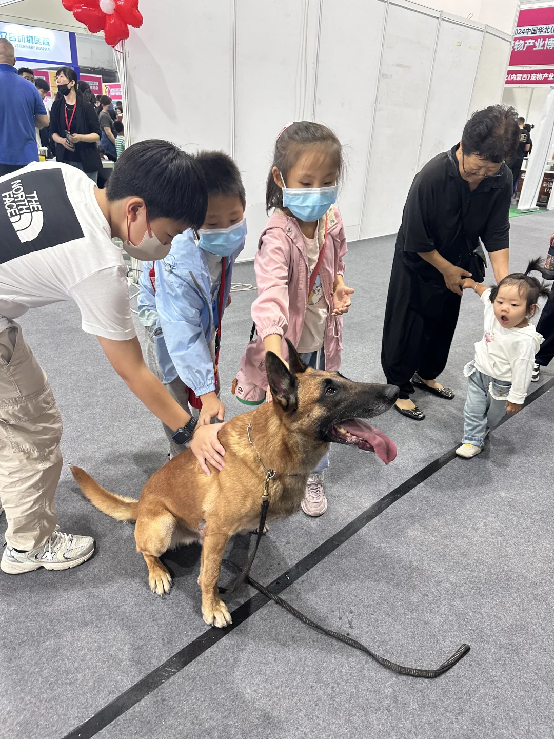 呼和浩特宠博会