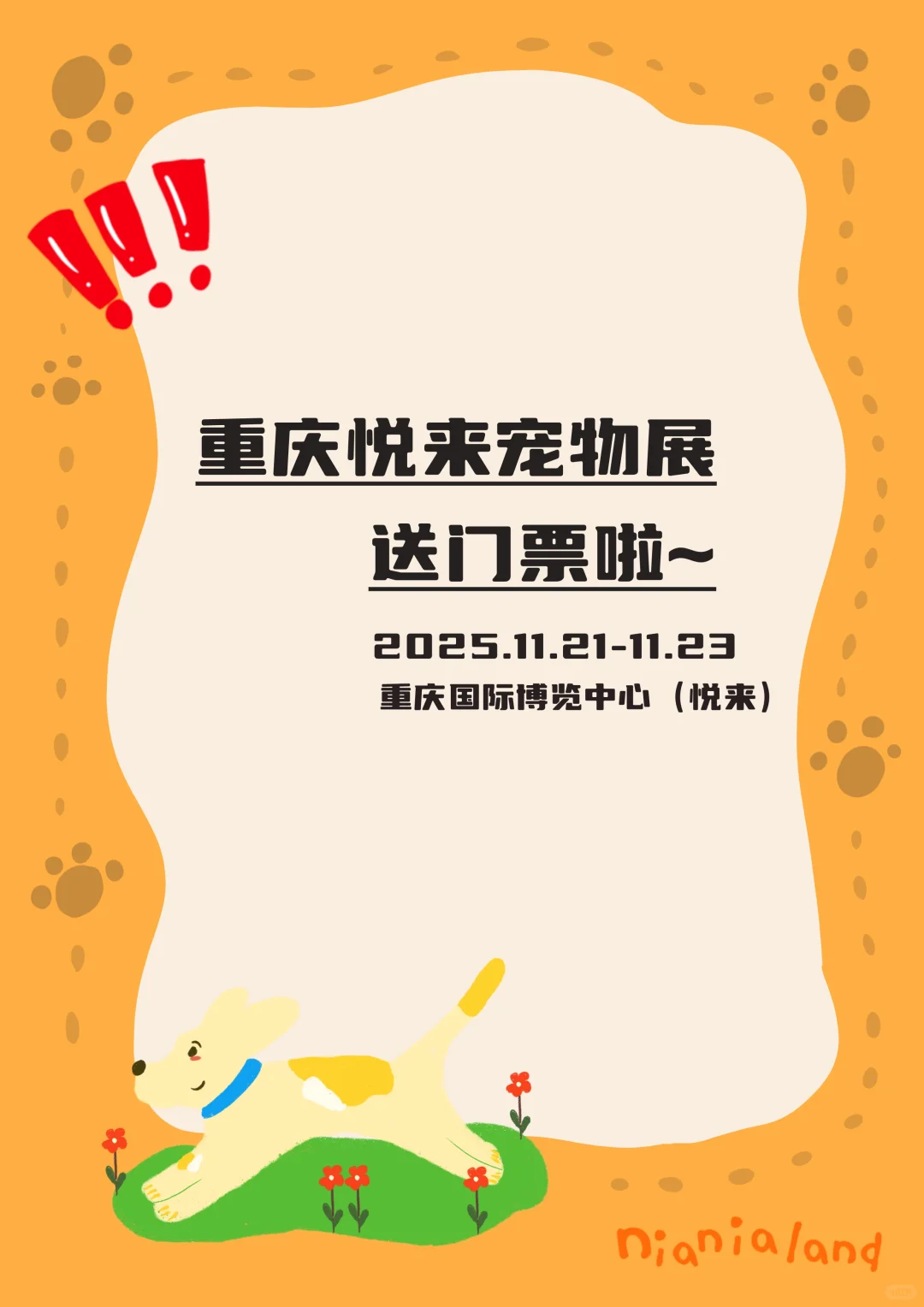 宠粉福利来咯??