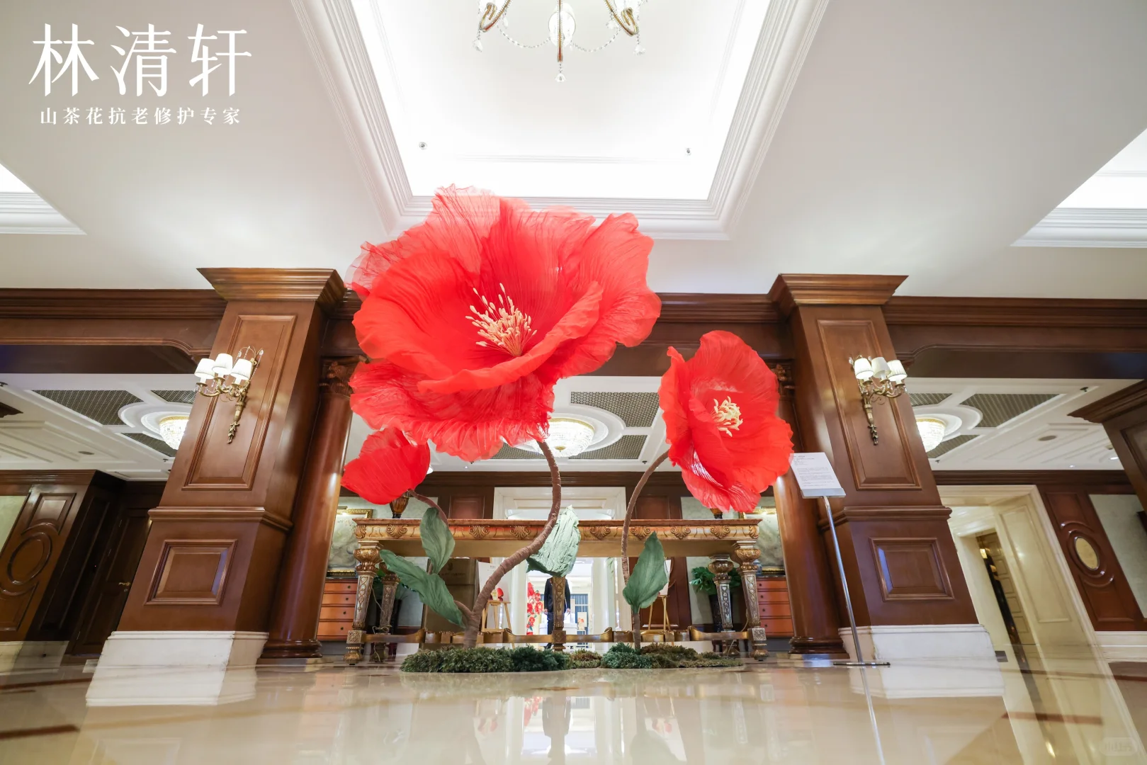 灵动|巨物山茶花装置|北京丽思卡尔顿酒店