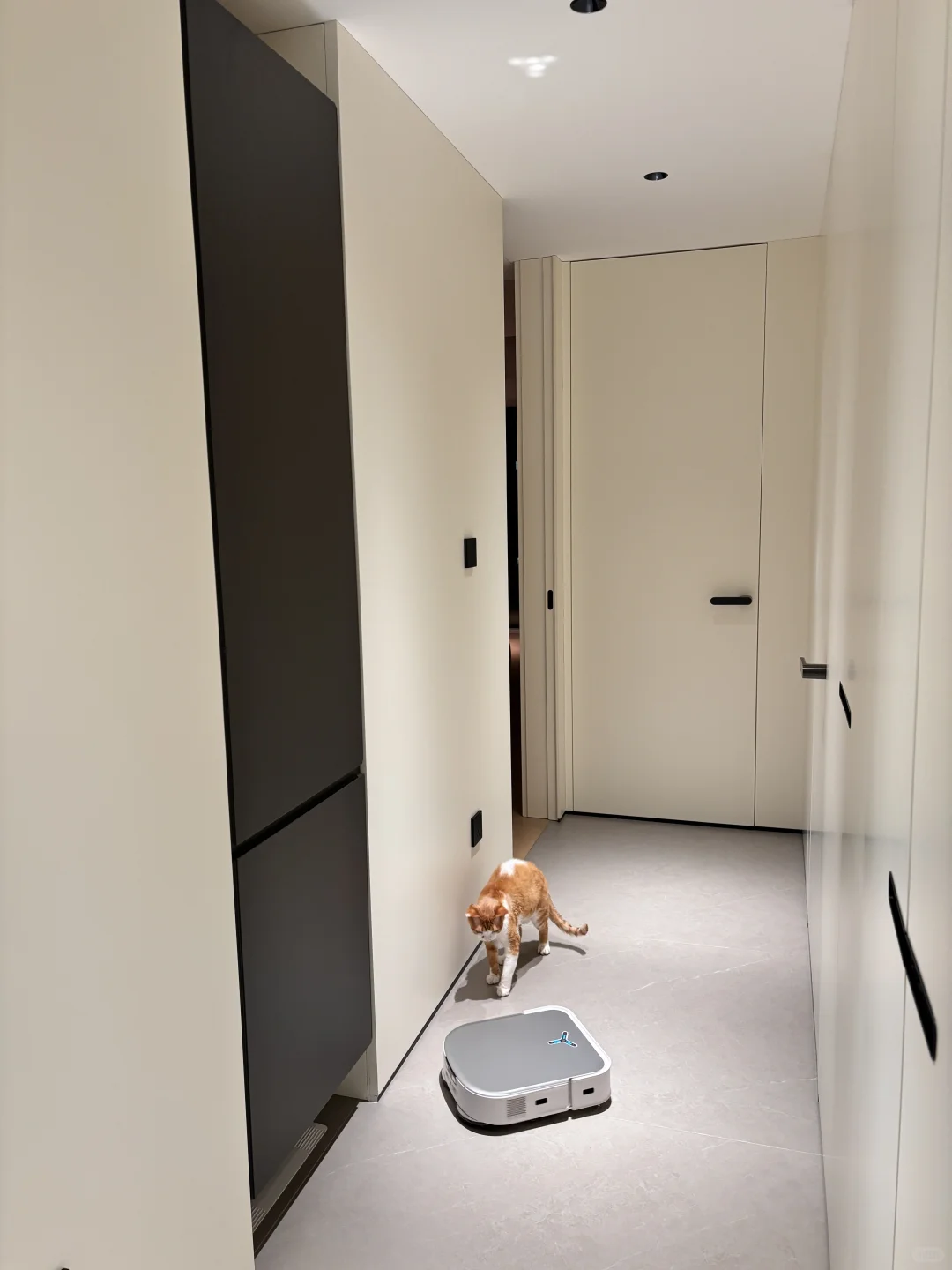 00后适懒化的全屋智能家?