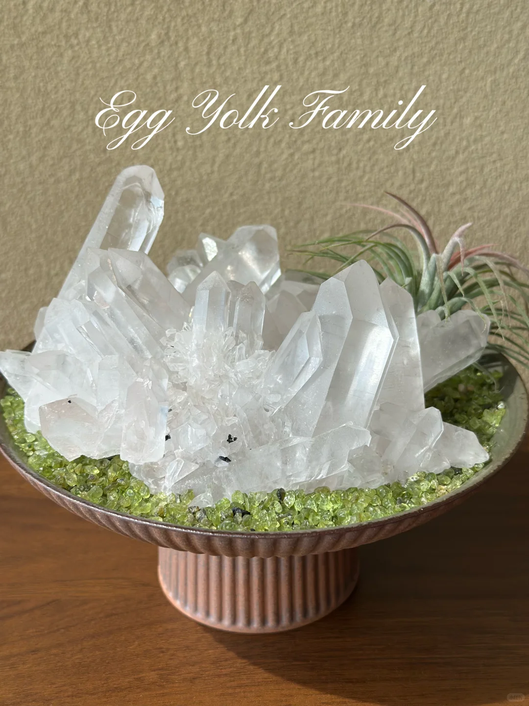 你更喜欢哪个呢✨