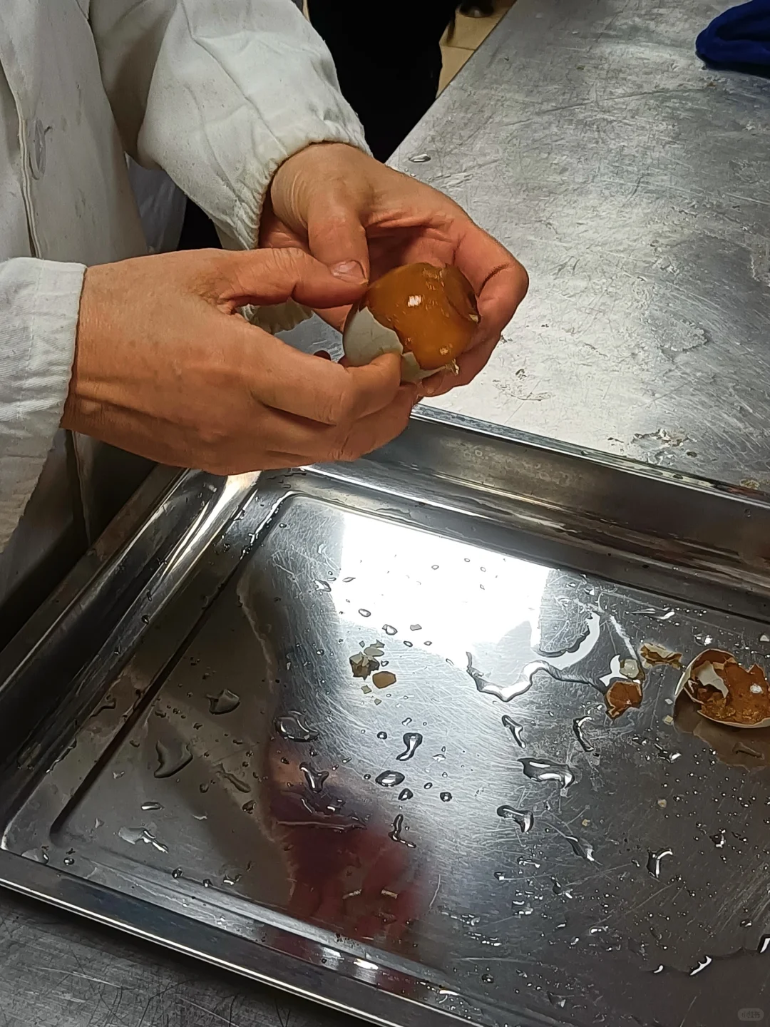 食品专业畜产品实验