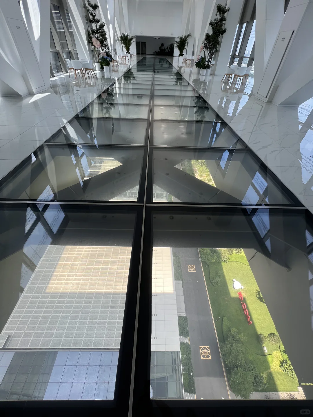 这座玻璃栈道也太美了！！