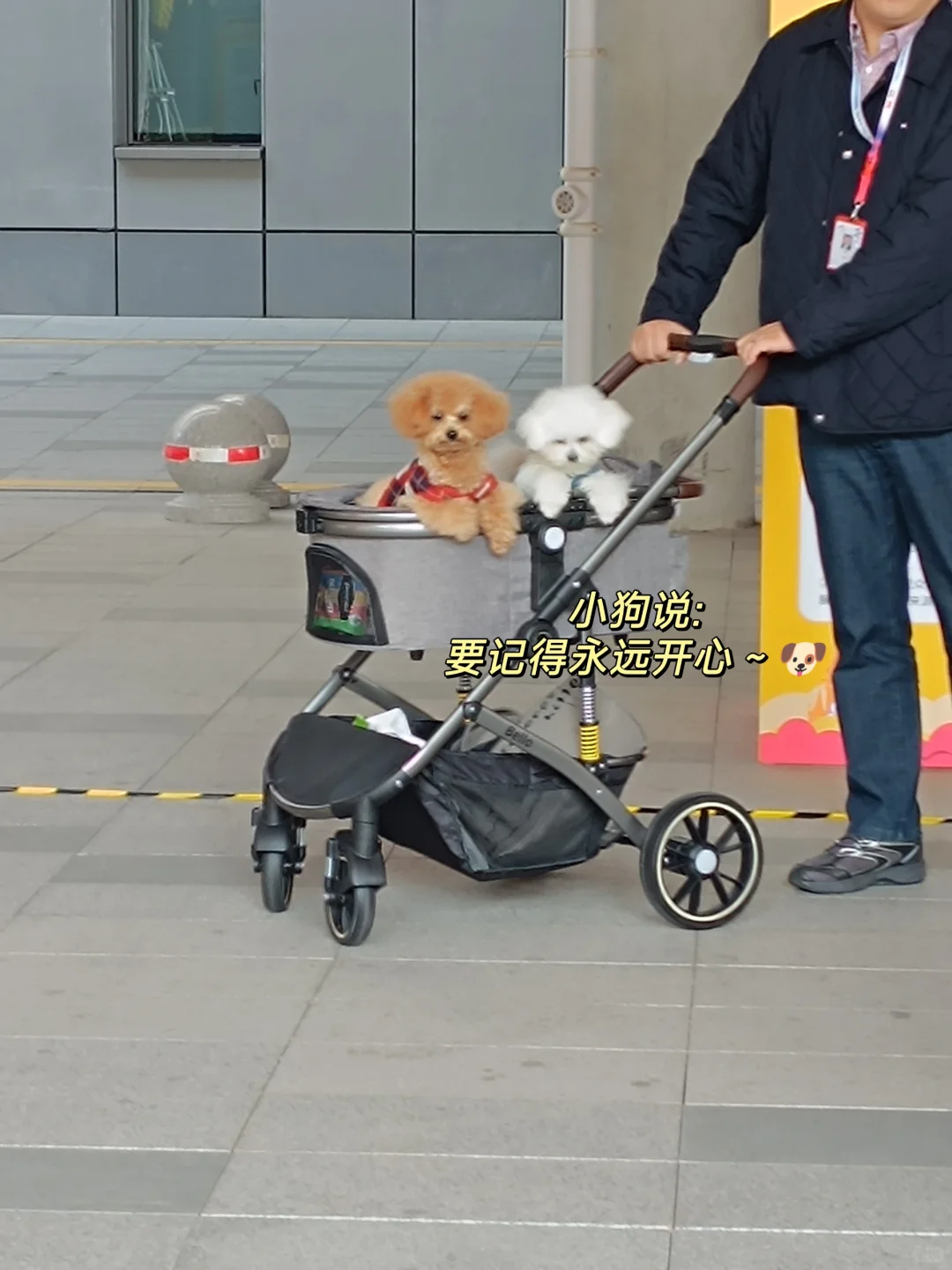 00后不上班，去“动物园”打工是为了什么？