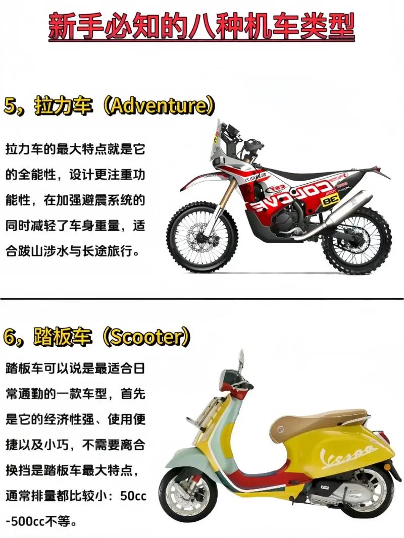 快来了解一下吧