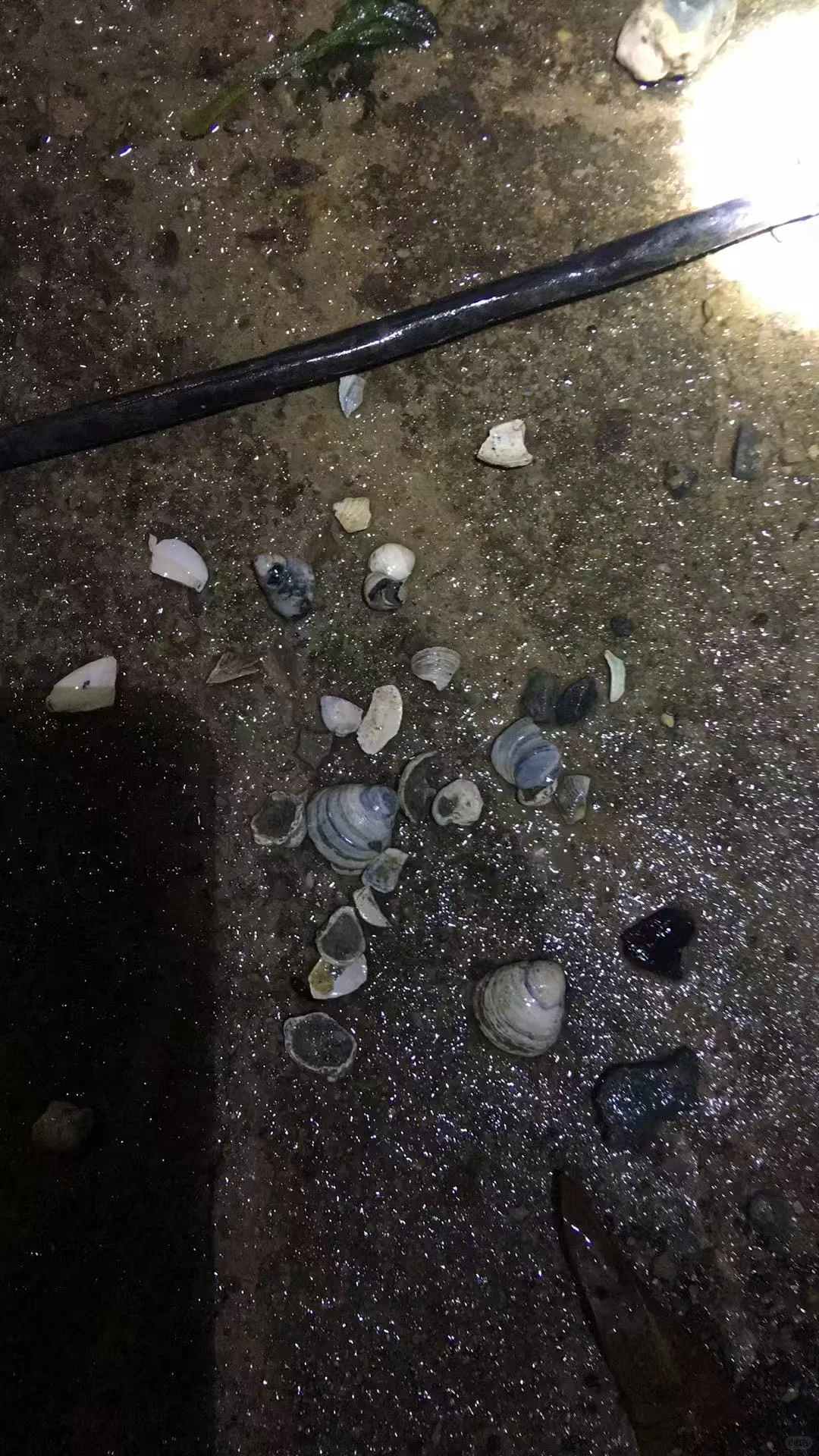 佛山自建房|预算60w|费用篇?