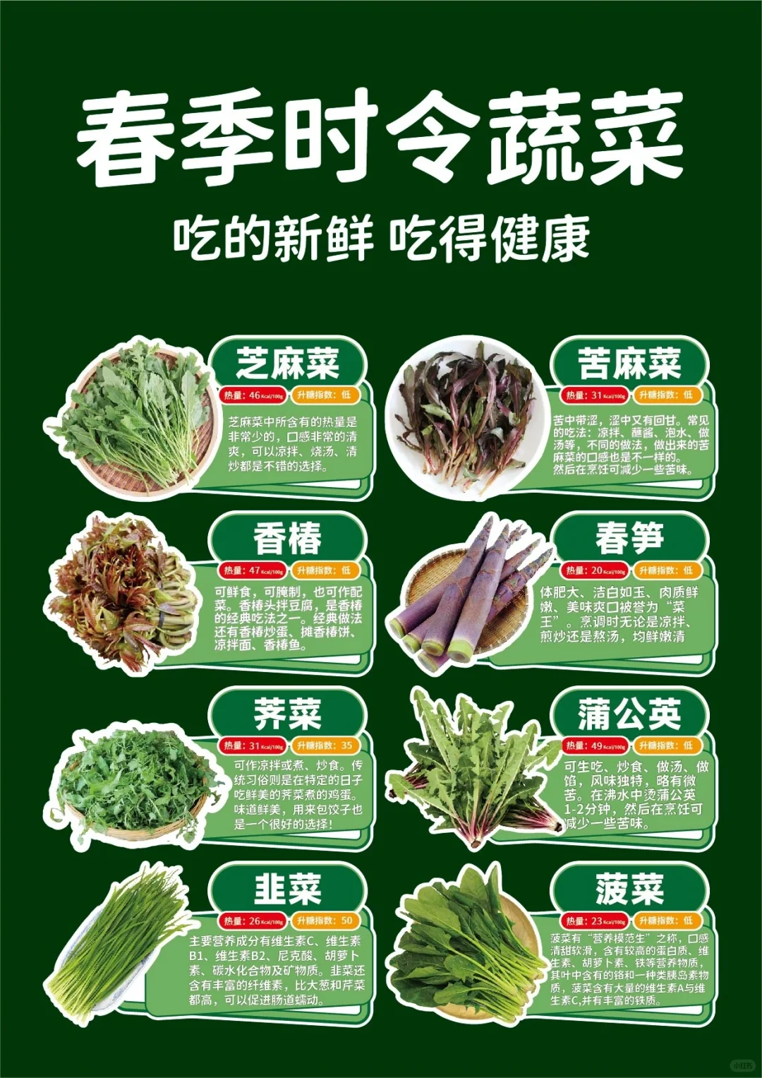 春季时令野菜手举牌