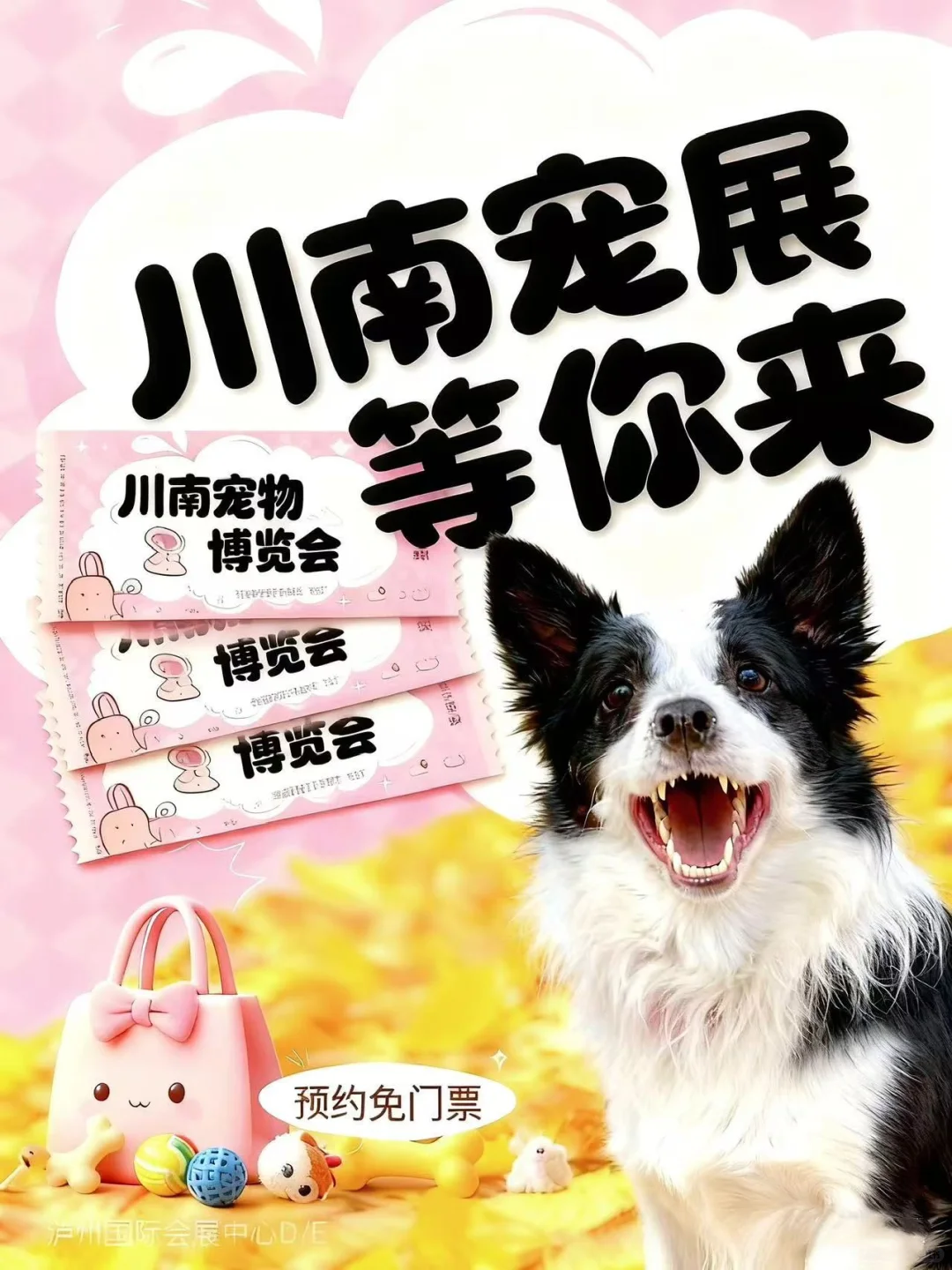 带宠逛川南宠物展！少带一样都慌