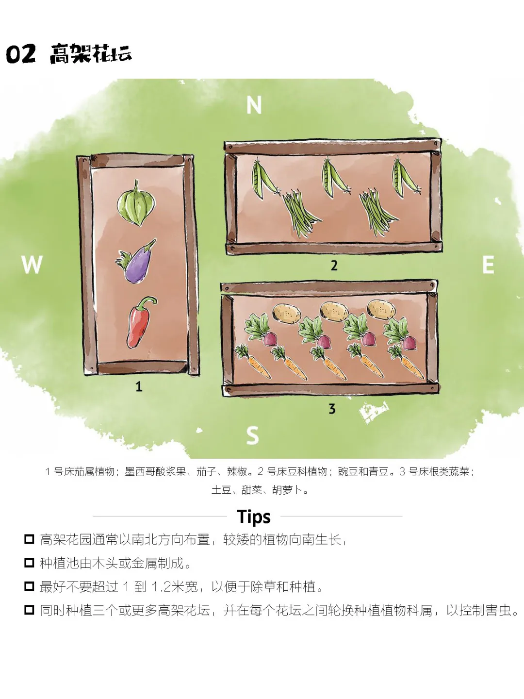 如何布置一个最佳收成的蔬菜花园