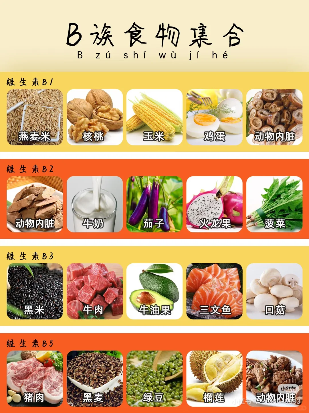 富含维生素B食物