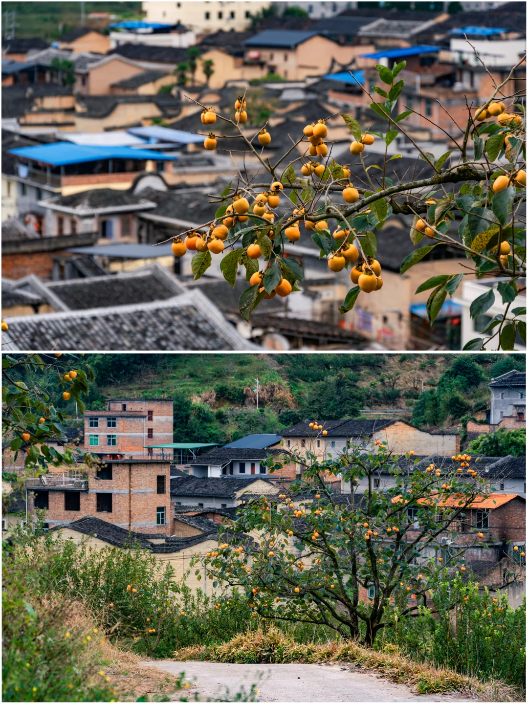何峰山-王公山-利洋村的踏秋徒步