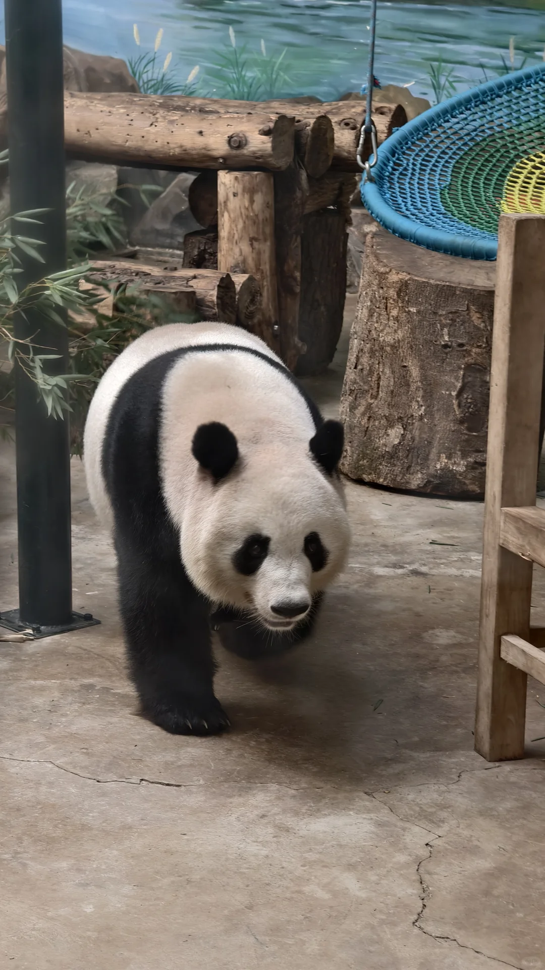 特种兵之杭州动物园