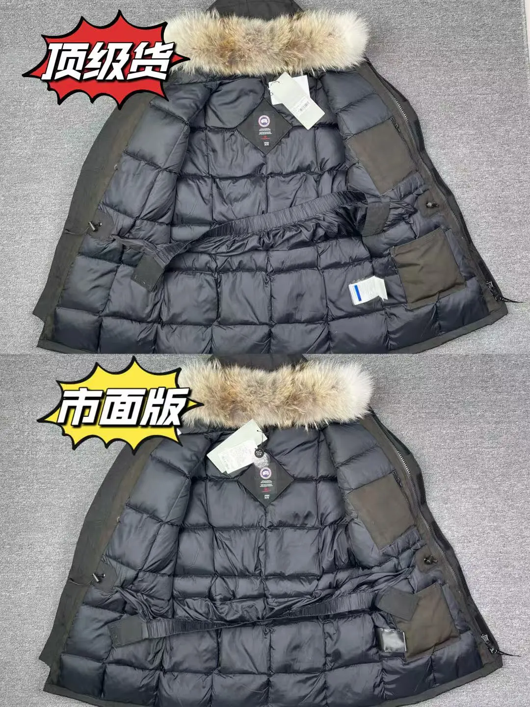 鉴别加拿大鹅学会这几个关键细节就够啦❗️❗️