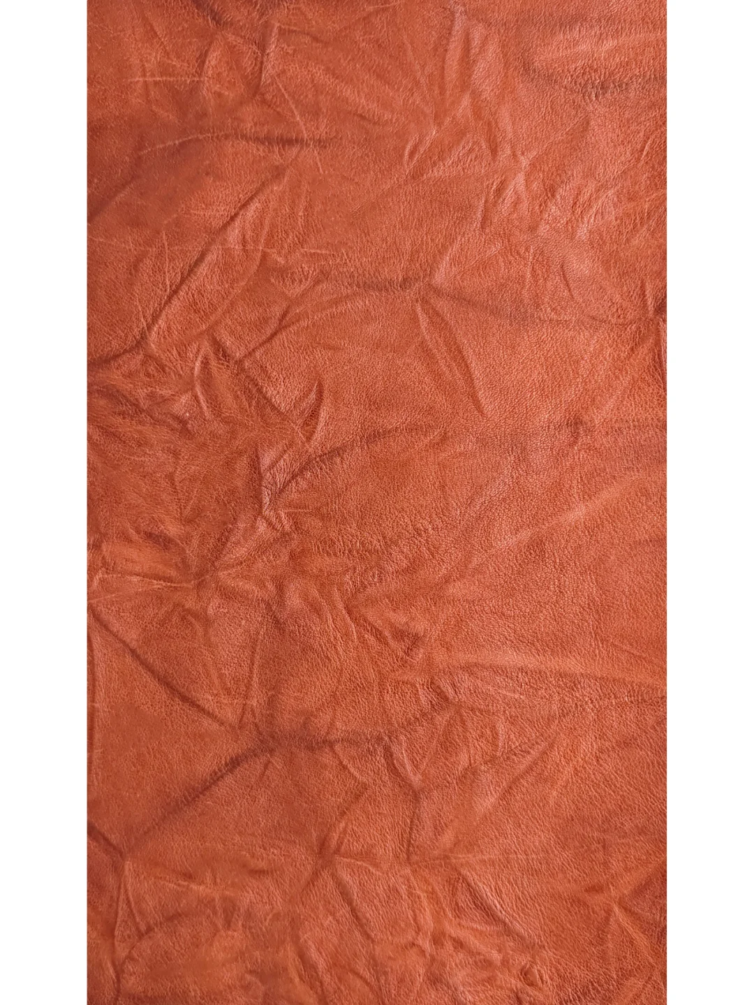 手抓纹丨manual R系列