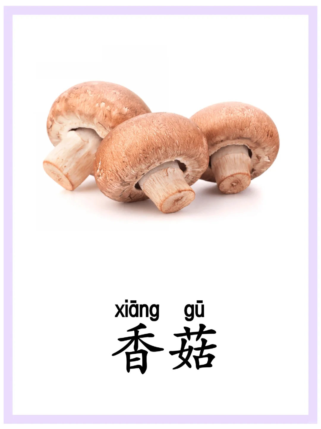 建议收藏⭐️|闪卡“蔬菜”|持续更新❤️