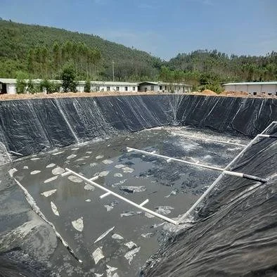 高密度聚乙烯土工膜防水土工膜双道热熔焊