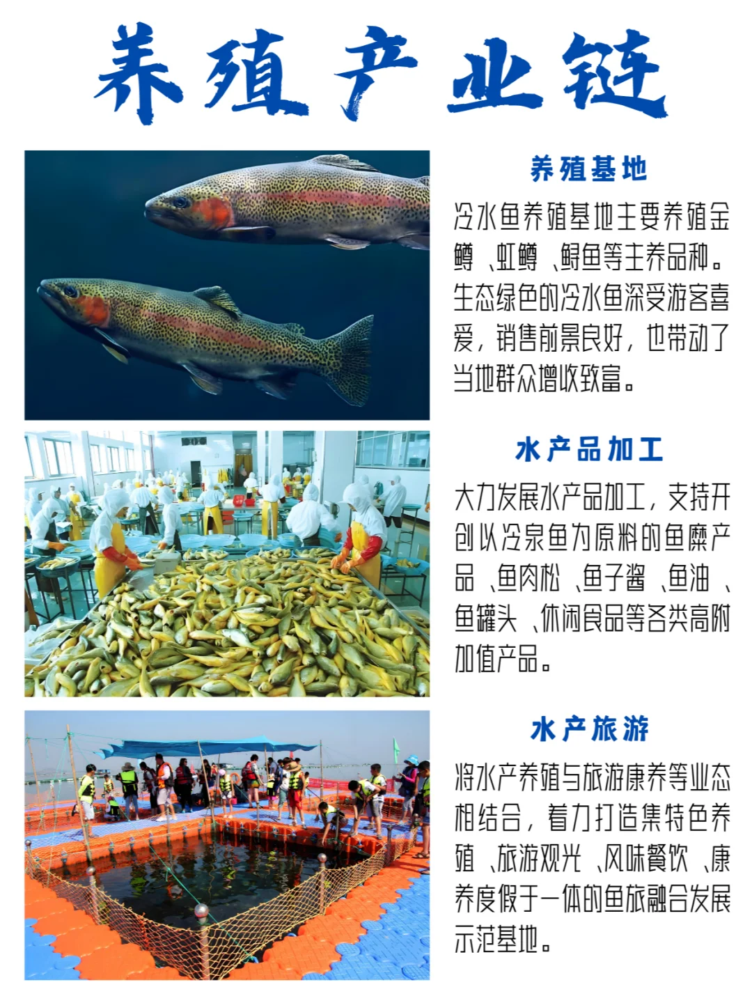 ?一尾鱼催生一条产业链❓❗