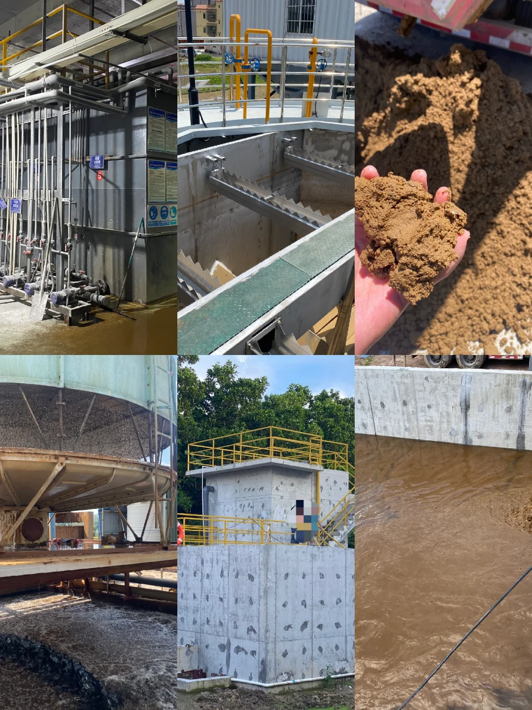 #活性菌种投放#污水处理