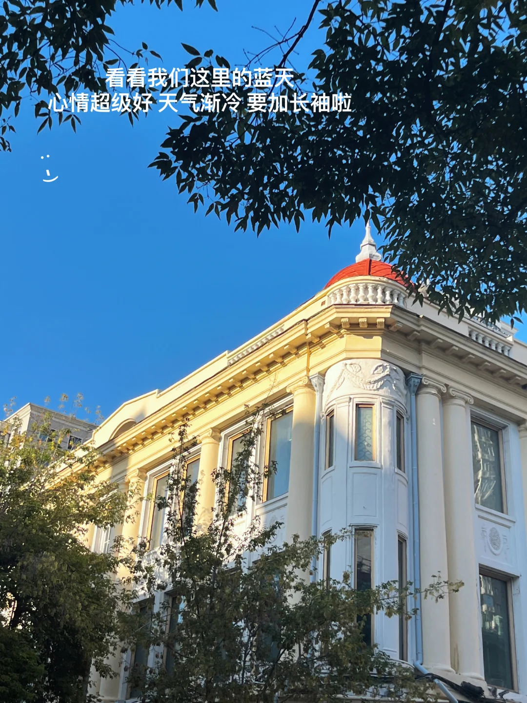 科学备孕选对排卵检测仪很重要❗️